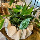 Petal Cement Pot