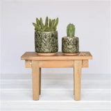 Cactus Motif Cachepot, Ceramic - Green
