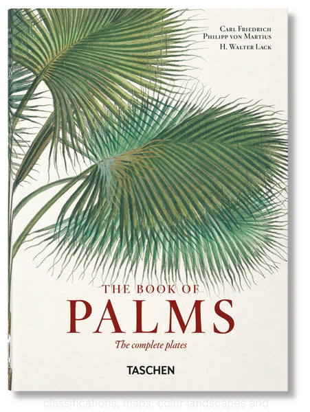 Martius - The Book of Palms