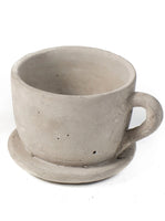 Large Cement Teacup Planter