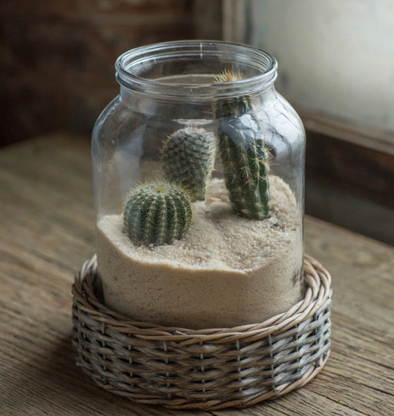 Glass and Wicker Terrarium Cylinder