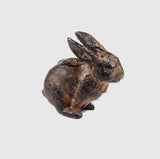 Small Cast Iron Rabbit