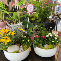 Little Garden in Off White Bowl 6" with Clear Quartz