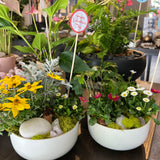Little Garden in Off White Bowl 6" with Clear Quartz