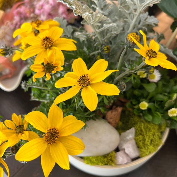 Little Garden in Off White Bowl 6" with Clear Quartz