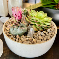 Cactus arrangement in Off White Bowl 6" with Clear Quartz