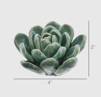 Ceramic Succulent