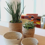 Handwoven Wicker Storage Basket • Kata Bin