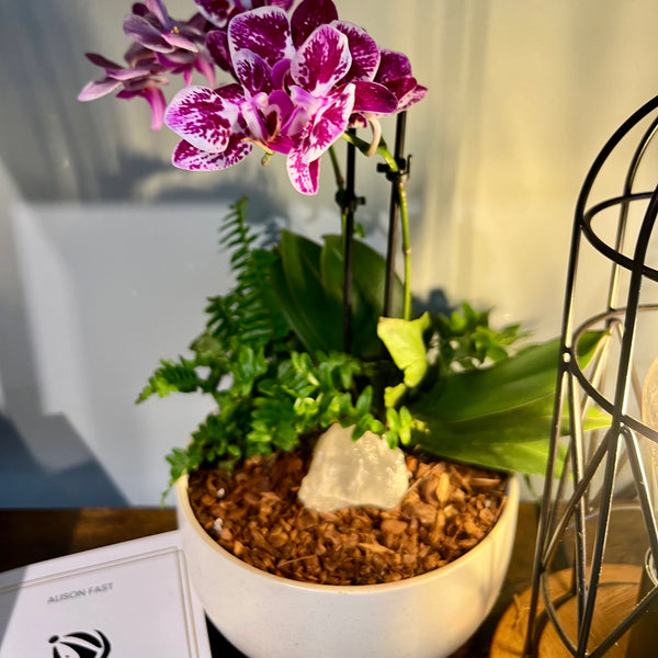 Orchid in Off White Bowl 6" with Clear Quartz
