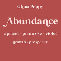 Ghost Poppy