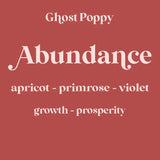 Ghost Poppy