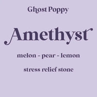 Ghost Poppy
