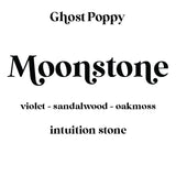 Ghost Poppy